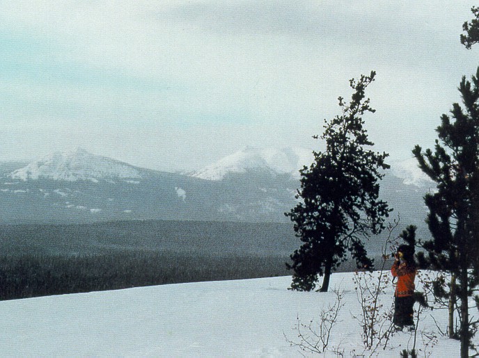 A Spectacular Mountain View - Copyright 1999 - Jennifer Stephenson